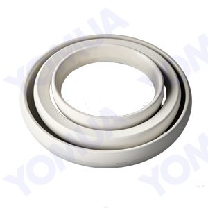 Boron Nitride(BN) Ceramic Seal Ring